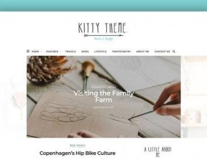 Kitty v1.0.0 – 一个博客的WordPress主题
