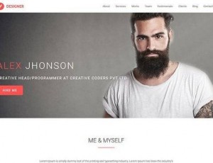 Designer v1.0.0 – OnePage WordPress主题