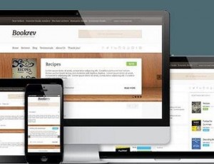 BookRev v1.1.8 – 书评WP主题
