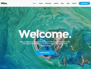 milos v1.1.1 – 响应高级WordPress主题
