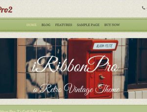 iRibbon Pro 2 v3.5 – 复古WordPress主题
