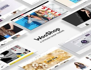 Role Portfolio v1.7 – 一个页面组合WordPress主题