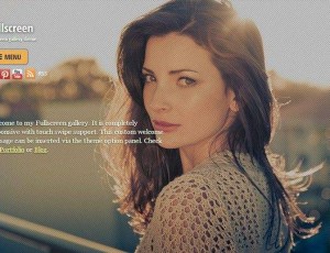 fullscreen v1.9.2 – 图库WordPress主题