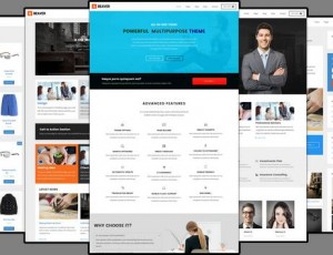 GBeaver v2.0.7 +扩展 – 创世纪儿童WordPress主题