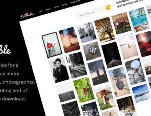 Paintable v2.4 摄影和博客/照片下载WordPress主题