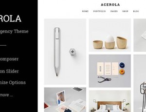 Acerola v1.6.2 – 超极简代理WordPress主题