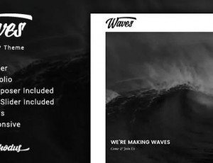 Waves v1.0.4- 全屏视频单页WordPress主题