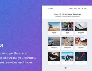 meteor v1.1.0 – 美丽投资组合WordPress主题