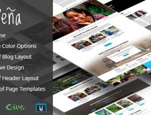 Pena v1.1.9- 慈善/非牟利WordPress主题