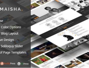 Maisha v1.7.4- 慈善/非营利WordPress主题
