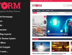 storm v1.3.2 – 清洁杂志和博客WordPress主题