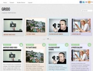 Grido v2.0.1 – 响应式Tumblr风格的WordPress主题
