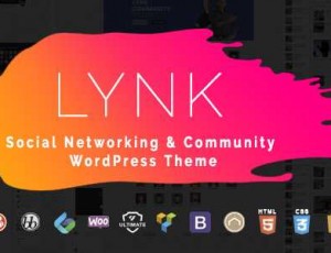 Lynk v2.0.2 – 社交和社区WordPress主题