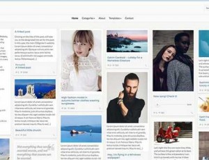 Pinfinity v2.0 – Pinterest类似于WordPress主题