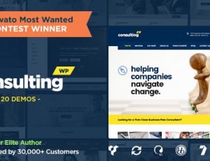 consulting v6.1.5 – 商业，财务WordPress主题