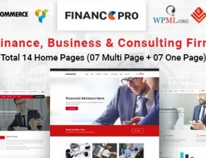 Finance Pro v1.1 – 金融业务与咨询主题