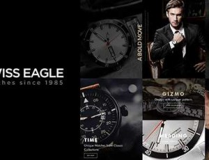Swiss Eagle v2.2 – WooCommerce商店