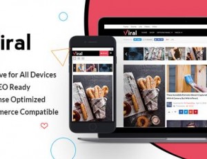 Viral v1.1.0 – 社交媒体营销WordPress主题