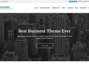 Business3ree v2.0 – 商业WordPress主题
