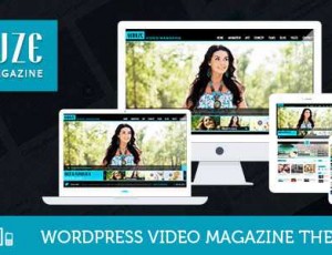 Viduze v1.7.0 – 视频WordPress主题