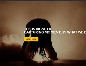 Vignette v1.6.1 – 摄影师的WordPress主题