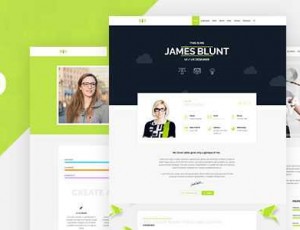 bio v1.1 – 简历，自由职业者的WordPress主题