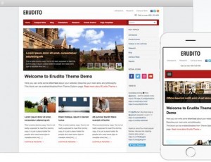 Erudito v1.1.6 – 教育WordPress主题