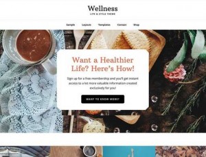 Wellness Pro v1.1.4 – WordPress主题