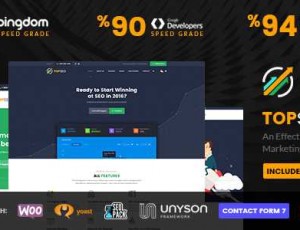 TopSEO v1.4.2 – SEO，数字营销WordPress主题