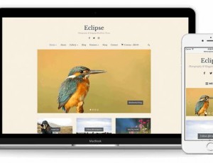 Eclipse v1.0.1 – 摄影/博客WordPress主题