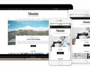 Monte v1.1.1 – 杂志/博客WordPress主题