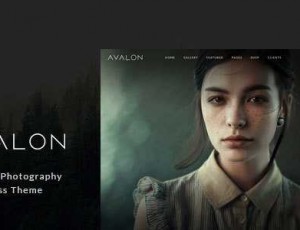 Avalon v1.0.9.9 – 摄影和组合的WordPress主题