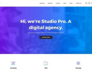 Studio Pro v2.0.2 – WordPress主题