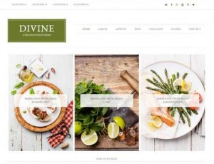 Divine Pro v1.0.5 – WordPress主题