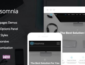 Insomnia v1.1.5 – 美丽而现代的创意WordPress主题