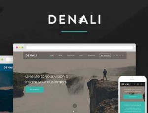 Denali v1.2.3 – 响应式多用途WordPress主题