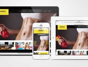 energy v1.0.8-商业WordPress主题