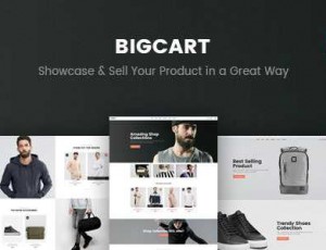 Bigcart v1.2.0 – 清洁，WooCommerce现代WordPress主题