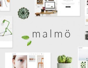 Malmö v1.4 – 一个迷人多概念WordPress主题