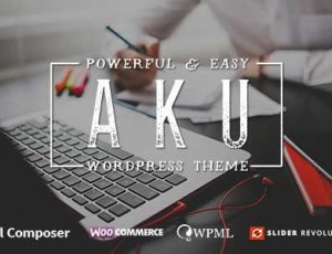 aku v2.4.0 – 强大的响应WordPress主题