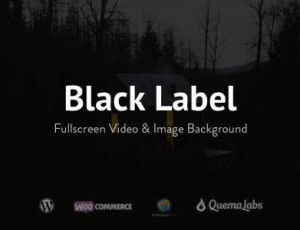 Black Label v4.0.14 – 全屏视频和图像背景主题