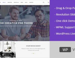 Sylor v1.1 – 最小的创意机构WordPress主题