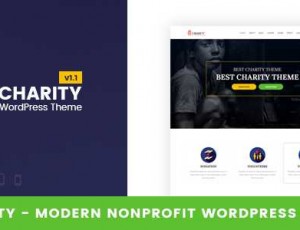 Charity v1.3– 非营利WordPress主题
