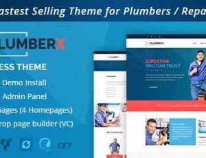 Plumber v2.52 – 建设和修复WordPress主题