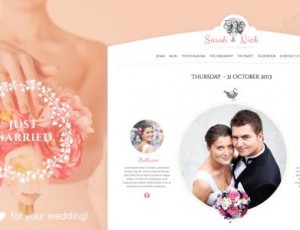 The Wedding Day v18.6-婚礼和婚礼策划师