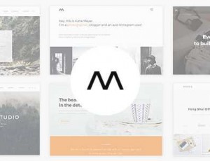 Mora v1.2 – 创意投资组合与摄影WordPress主题