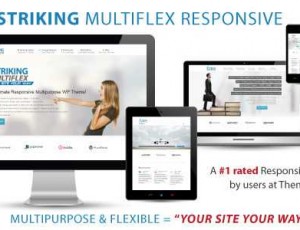 Striking v2.1.6- MultiFlex＆电子商务响应WP主题