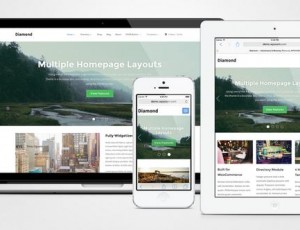 diamond v1.1.10 – 商业/目录/ WooCommerce WordPress主题