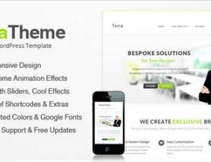 Terra v3.0 – 响应式多用途WP模板