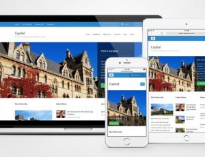 Capital v1.2.2 – 商业/教育/组织WordPress主题